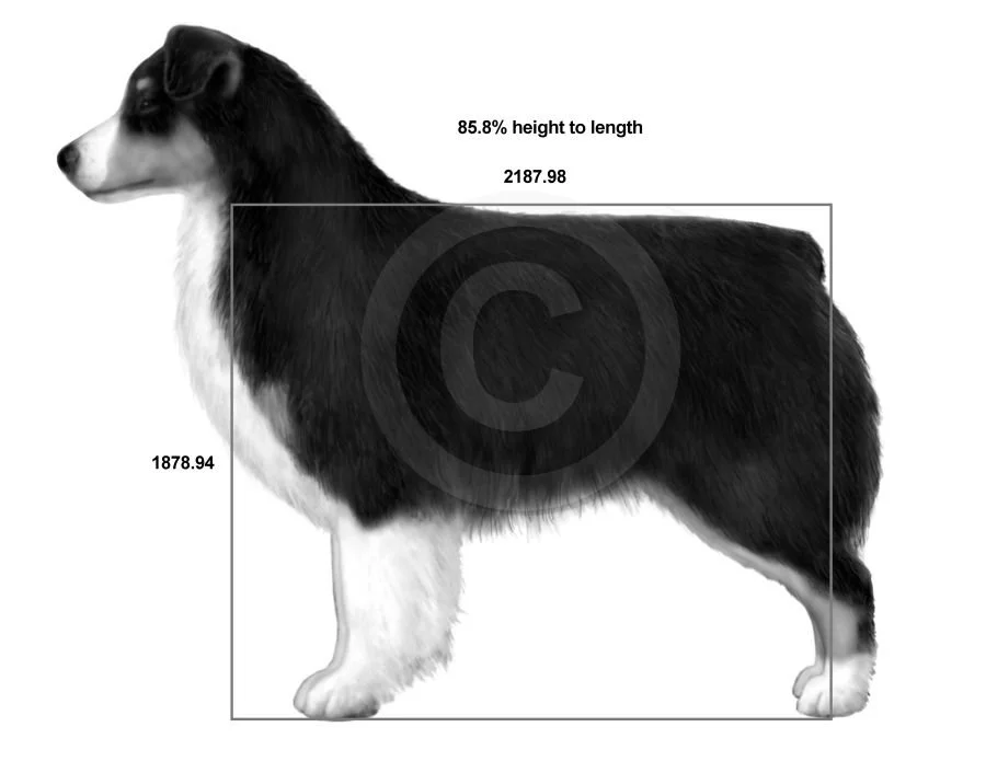 23. side stand tri, measured - published 6/10/25