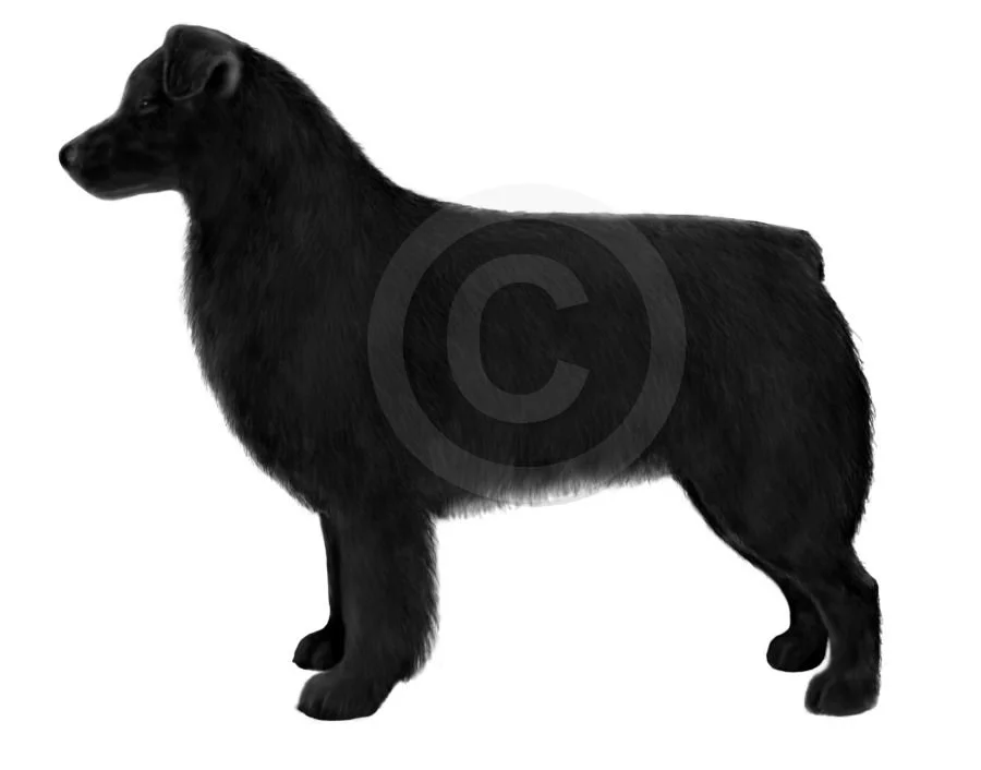 26. Black side standing v3 - completed