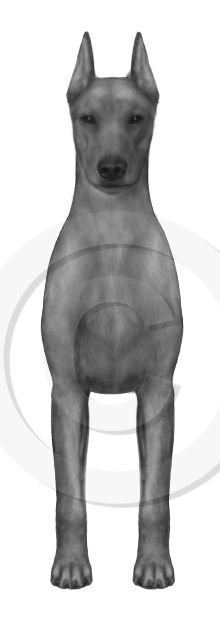 8. front stand v4 - approved  10/18/25