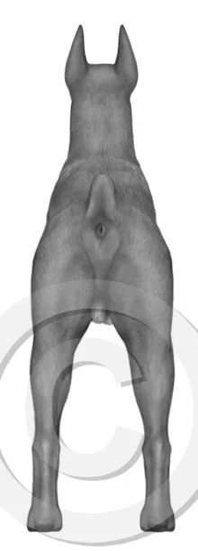 9. rear stand v3 - approved  12/1/25