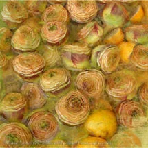Carciofi