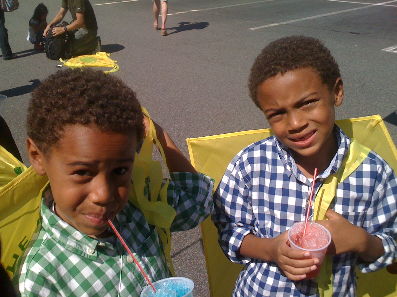 tristy snocones