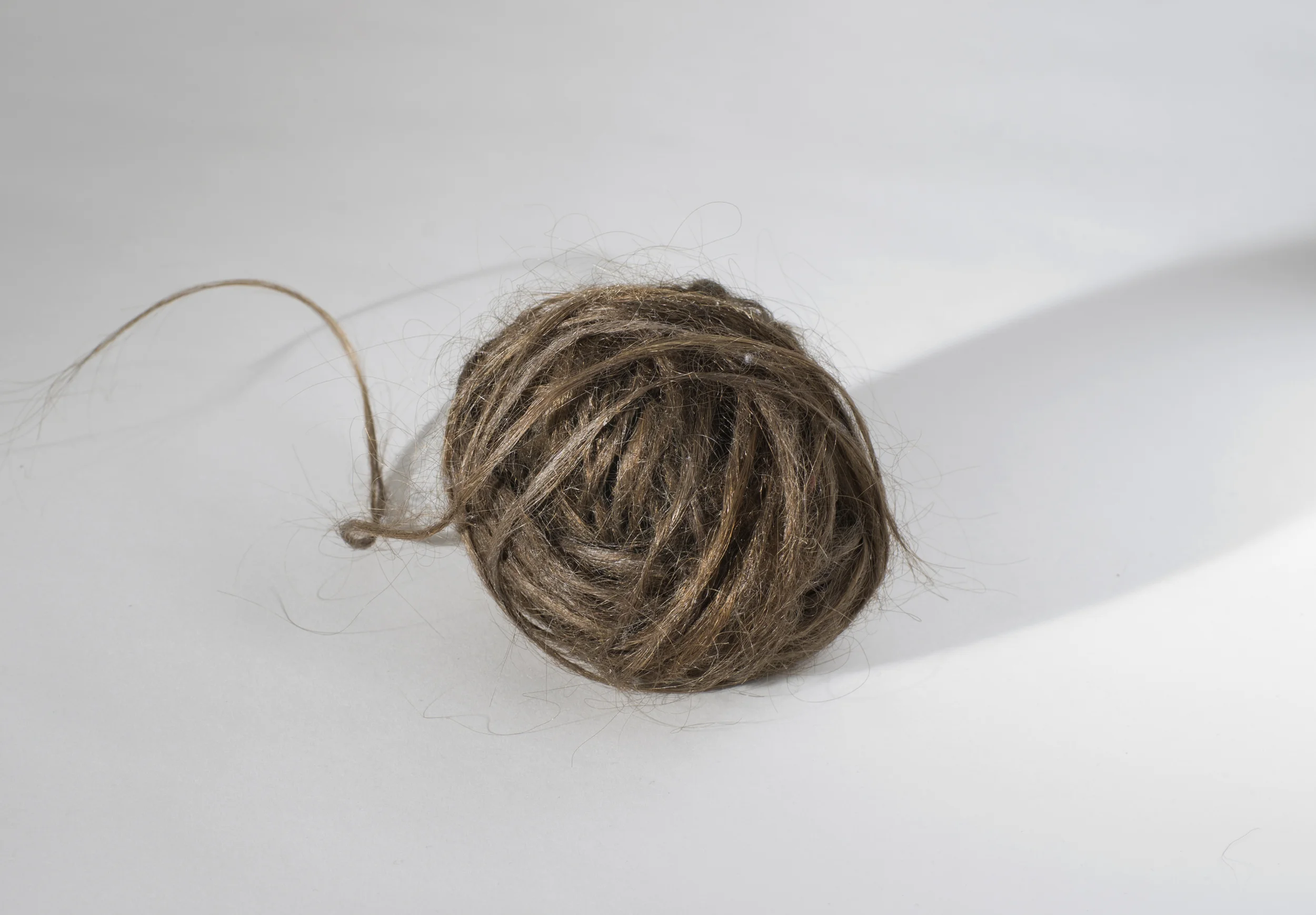 5.(b) Hair.jpg