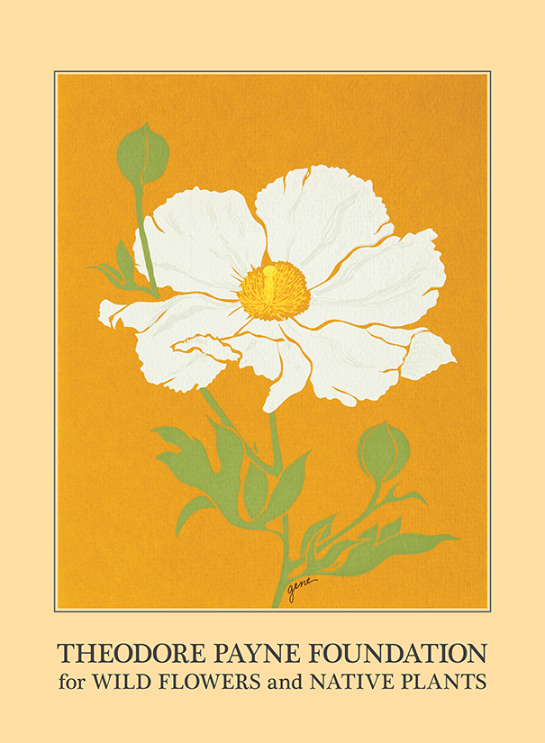 TPF poster FINAL 18x24.png
