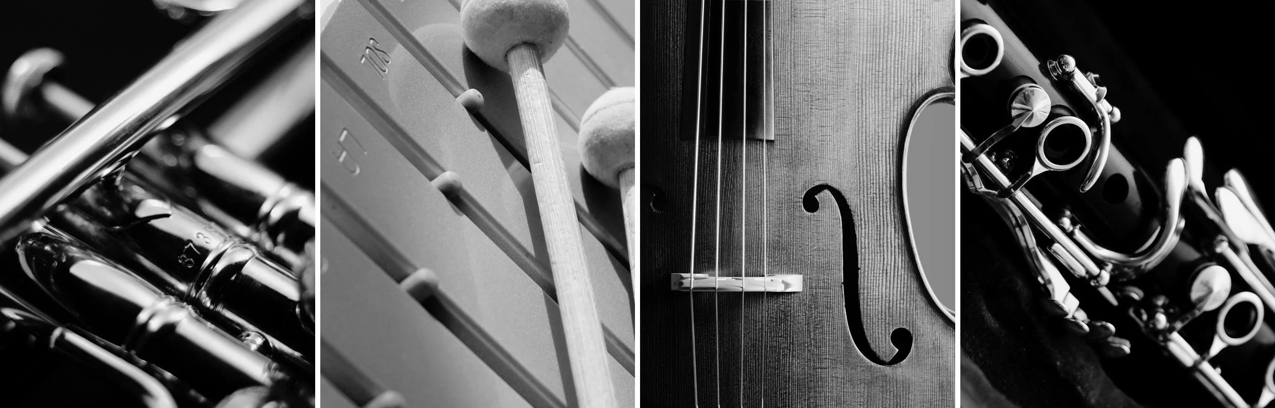 Band and orchestral instruments available to rent, purchase, or rent to ...