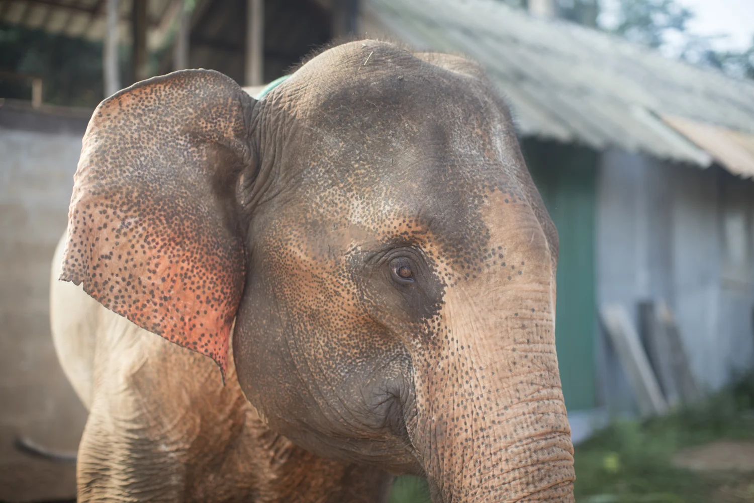AsiaTrip_2015-3396.jpg