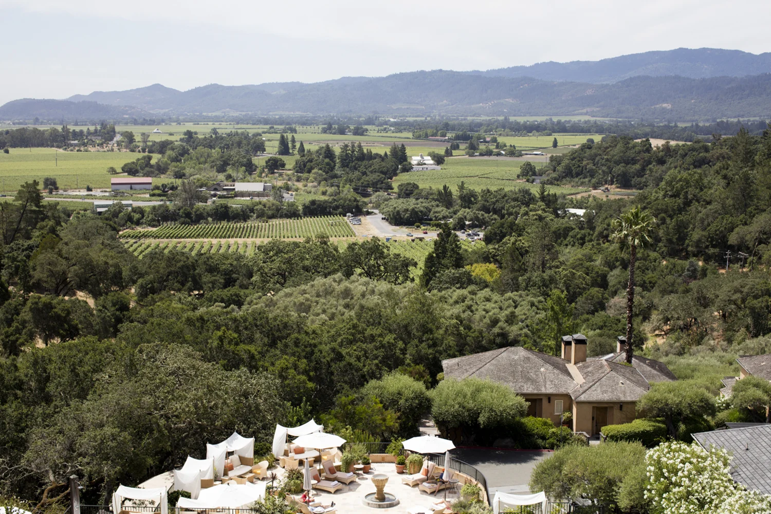 TonyPeter_Napa-4332.jpg