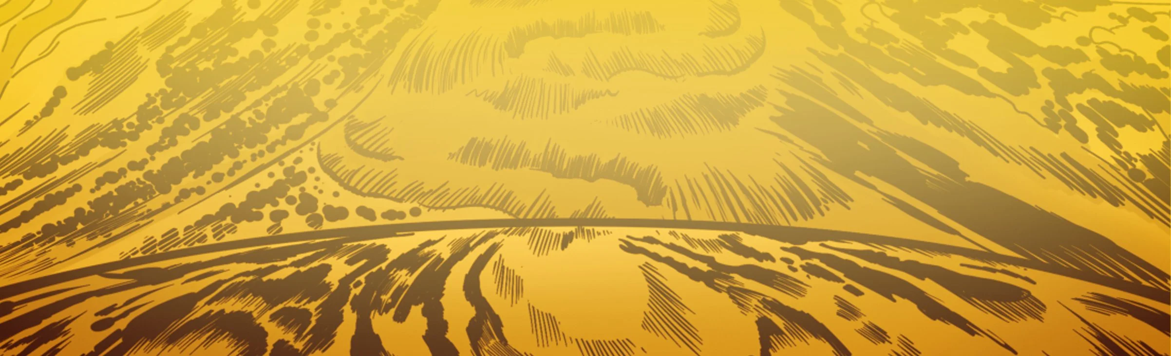 Product Header 2.jpg