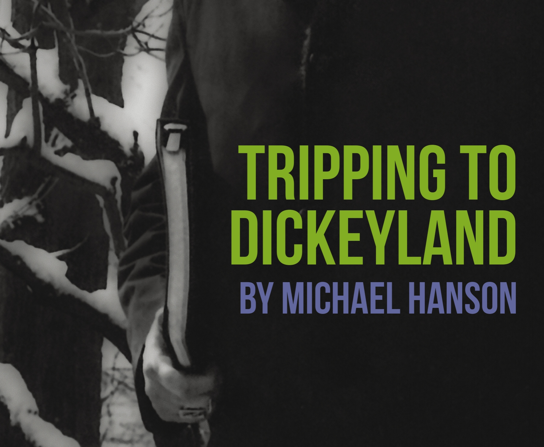 dickeyland-image-front (1).jpg