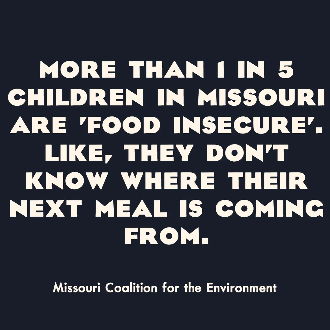 Missouri Coalition for the Environment.jpg