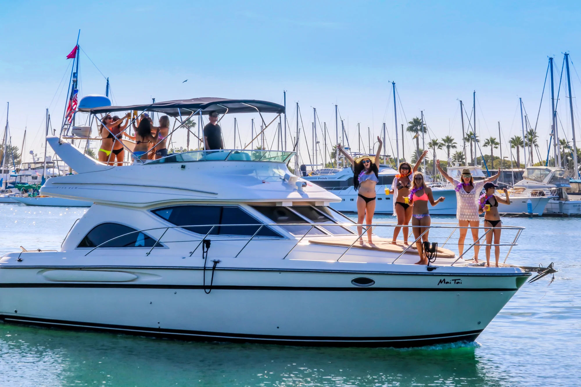 san diego booze cruises yacht charters