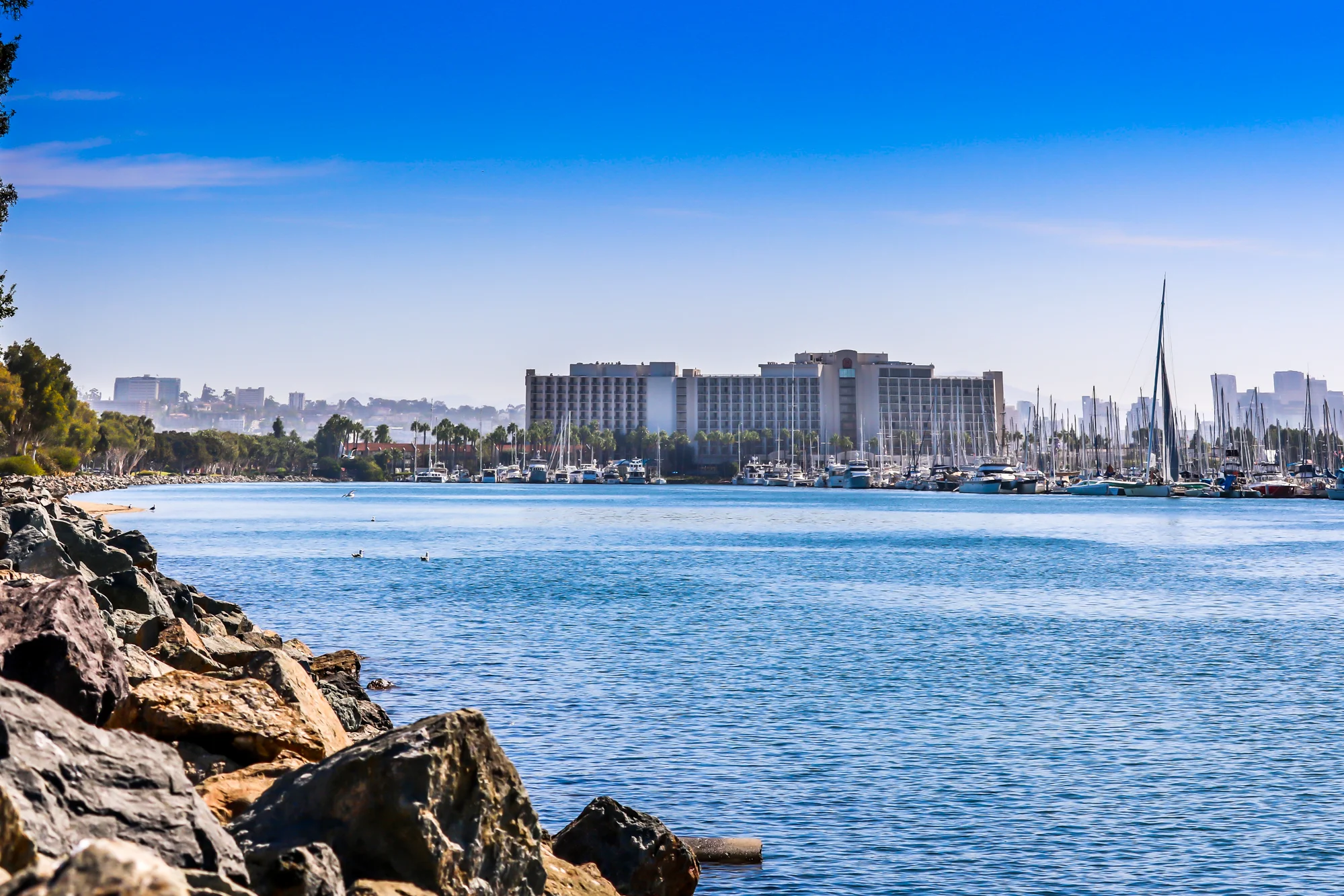 san diego booze cruises yacht charters