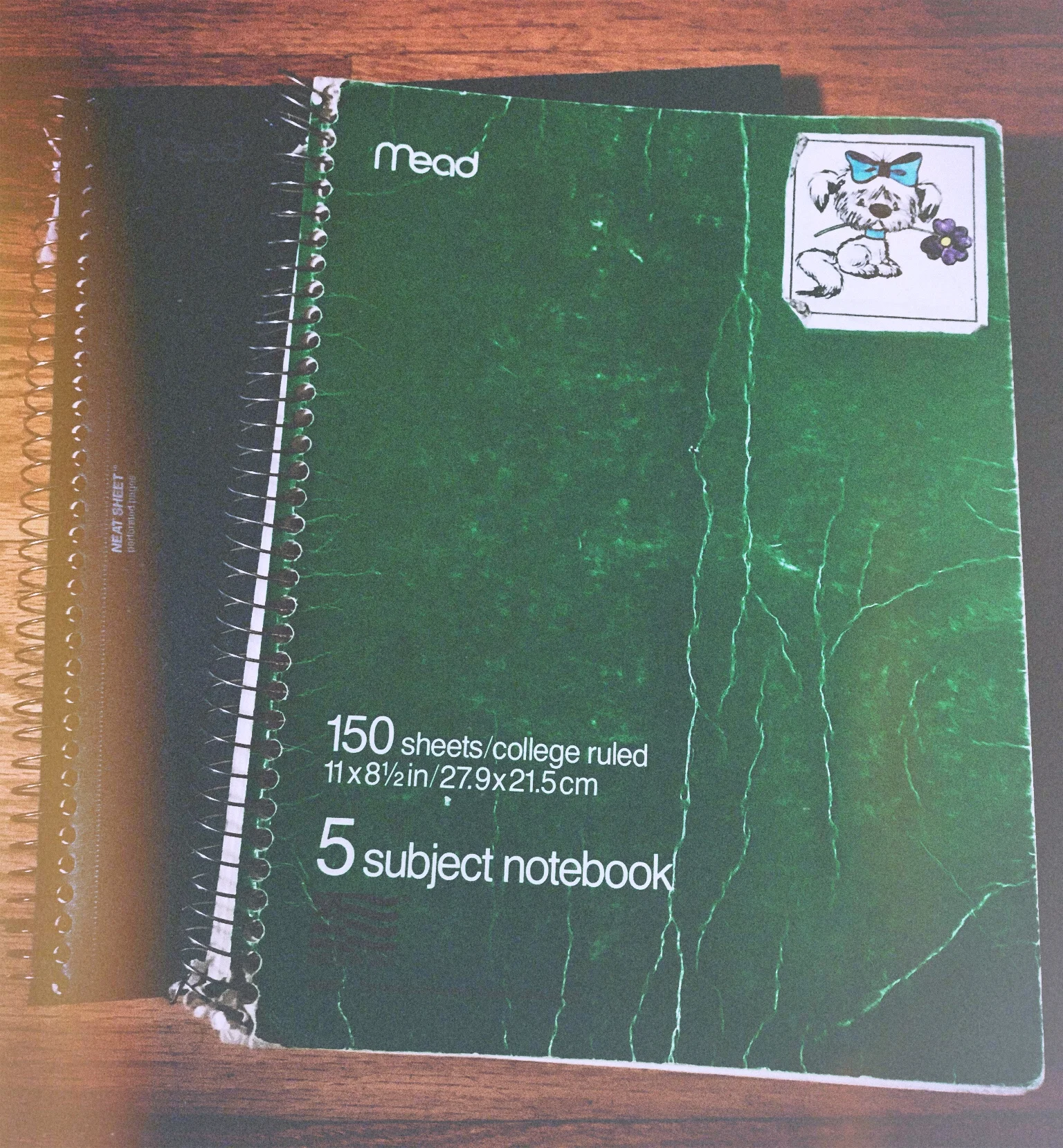 My Notebooks