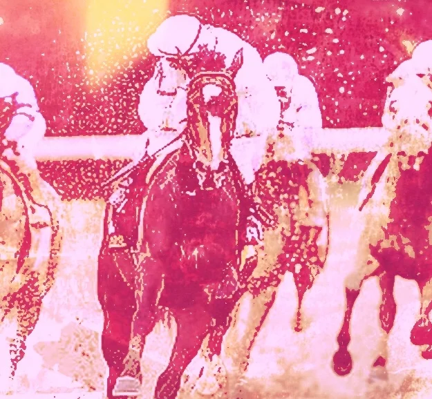 Bet On That Horse: The story of "Mine That Bird"