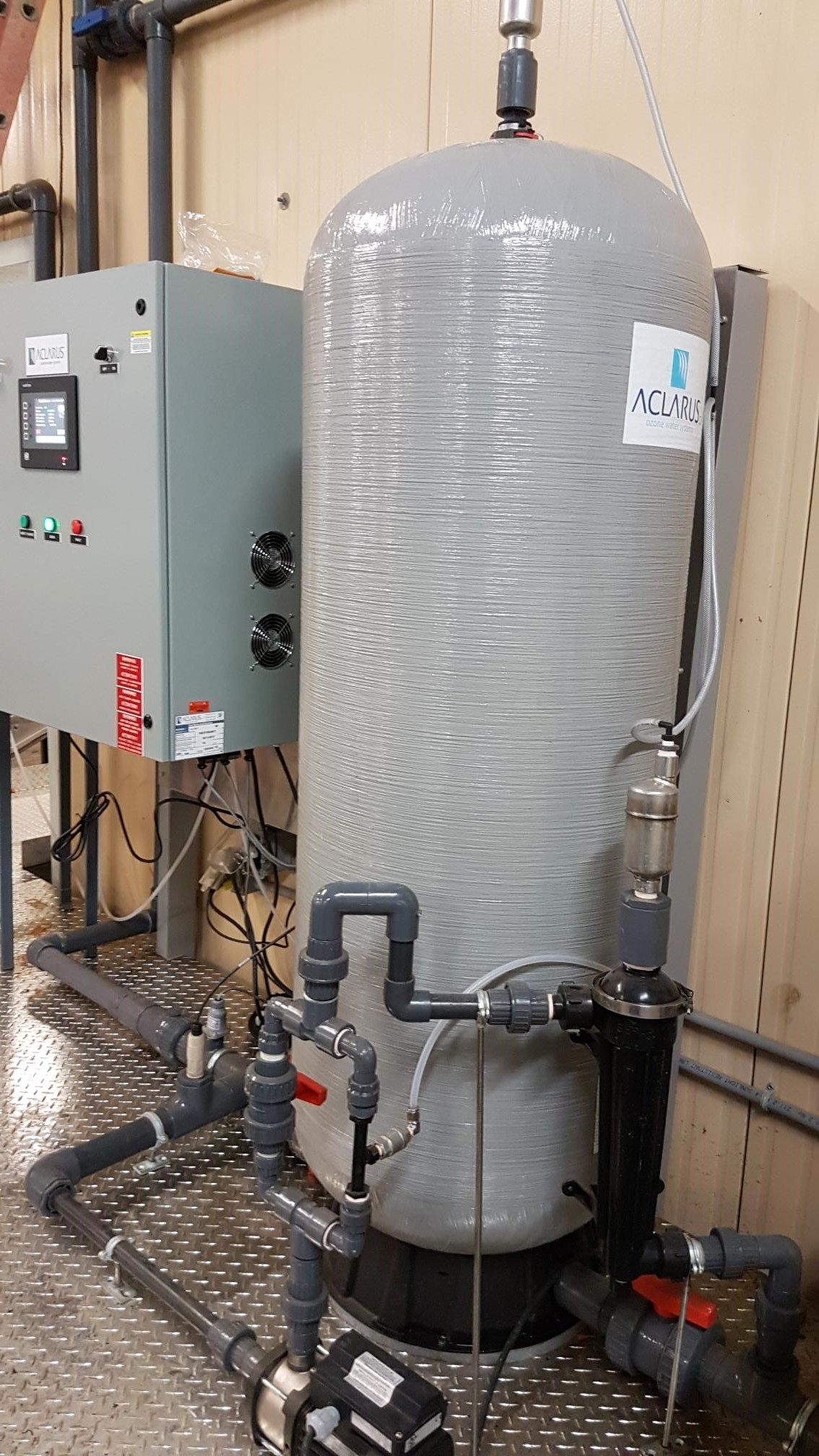 Vegetable Process & Cleaning System