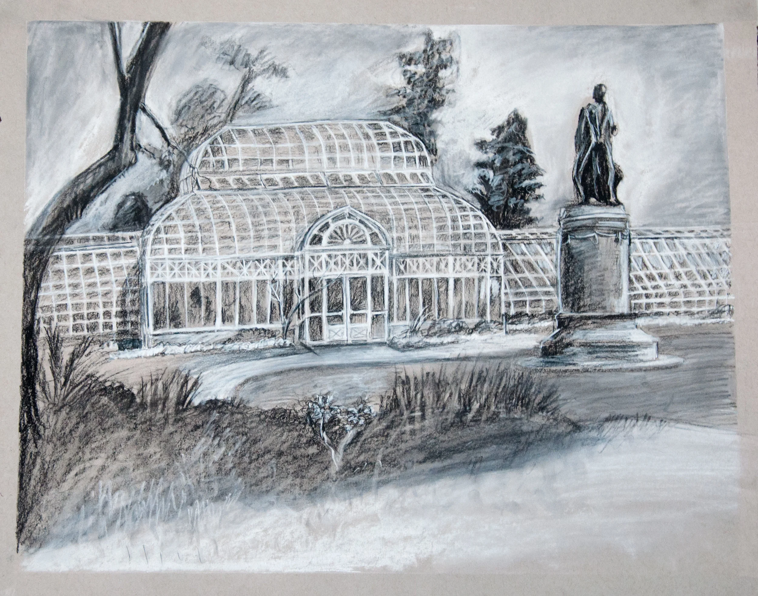 The Conservatory Charcoal on Toned Paper May 2016