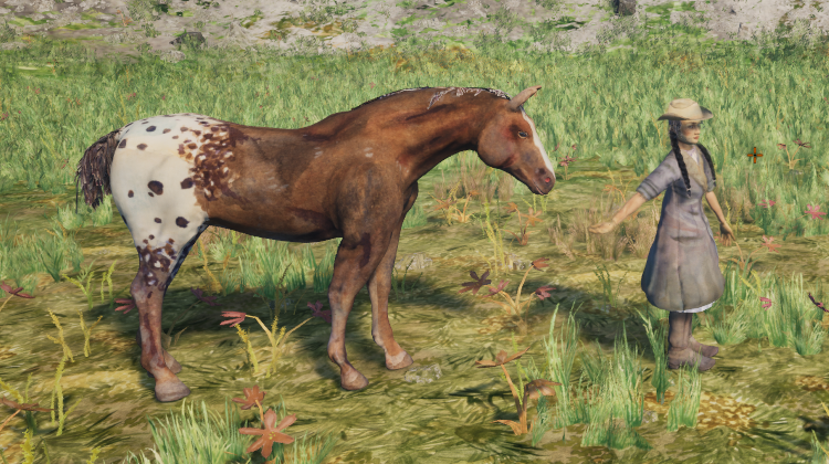Heart practicing horse gentling techniques.