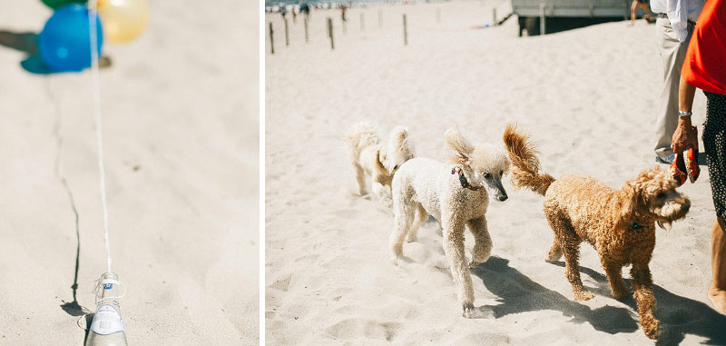 Stinson Beach Wedding Photographer