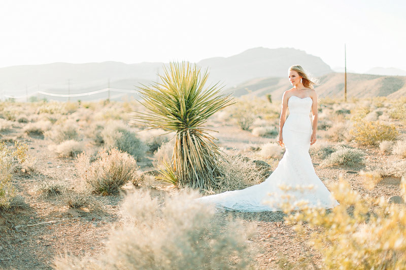 Las Vegas desert wedding photos