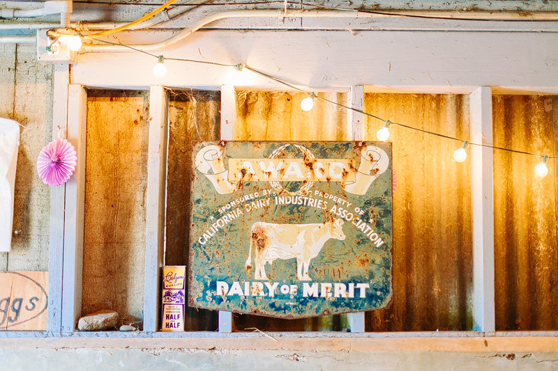 Mann Family Farm wedding reception photos