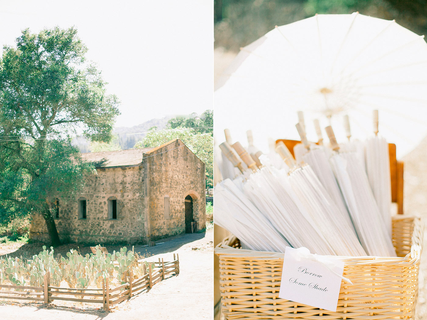 Jack London Ranch Wedding