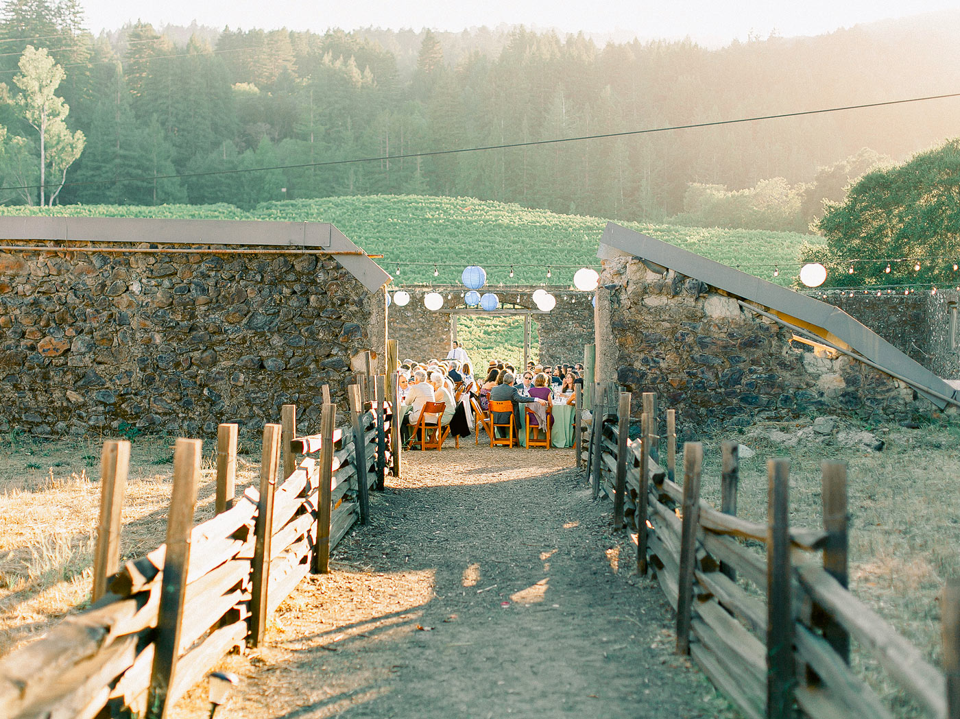 Wedding Photographer Jack London Ranch