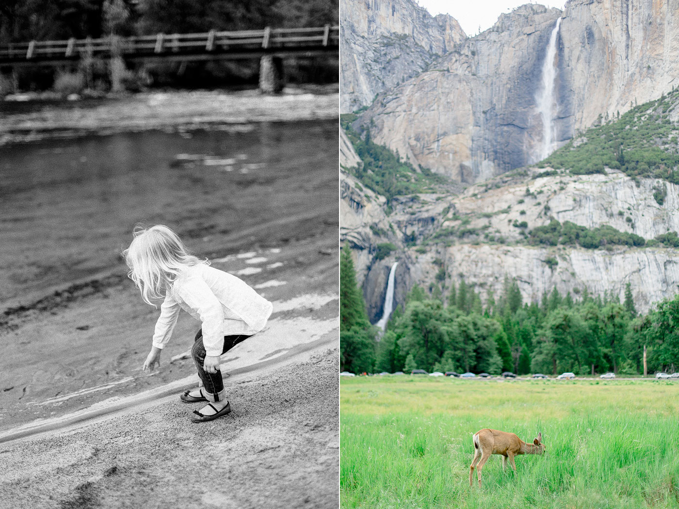 Yosemite-family-photos-11.jpg