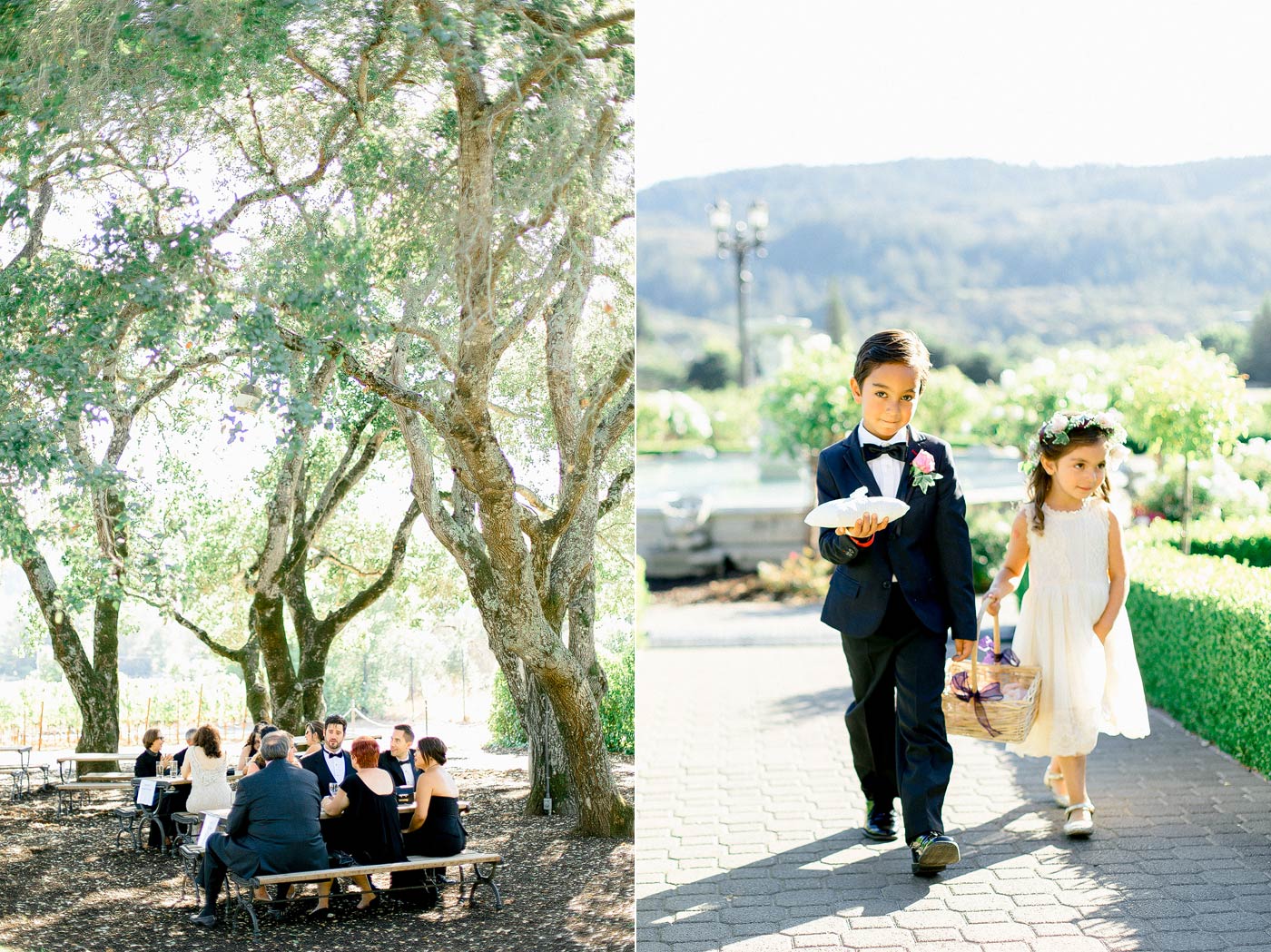 Wedding Images Ledson Winery