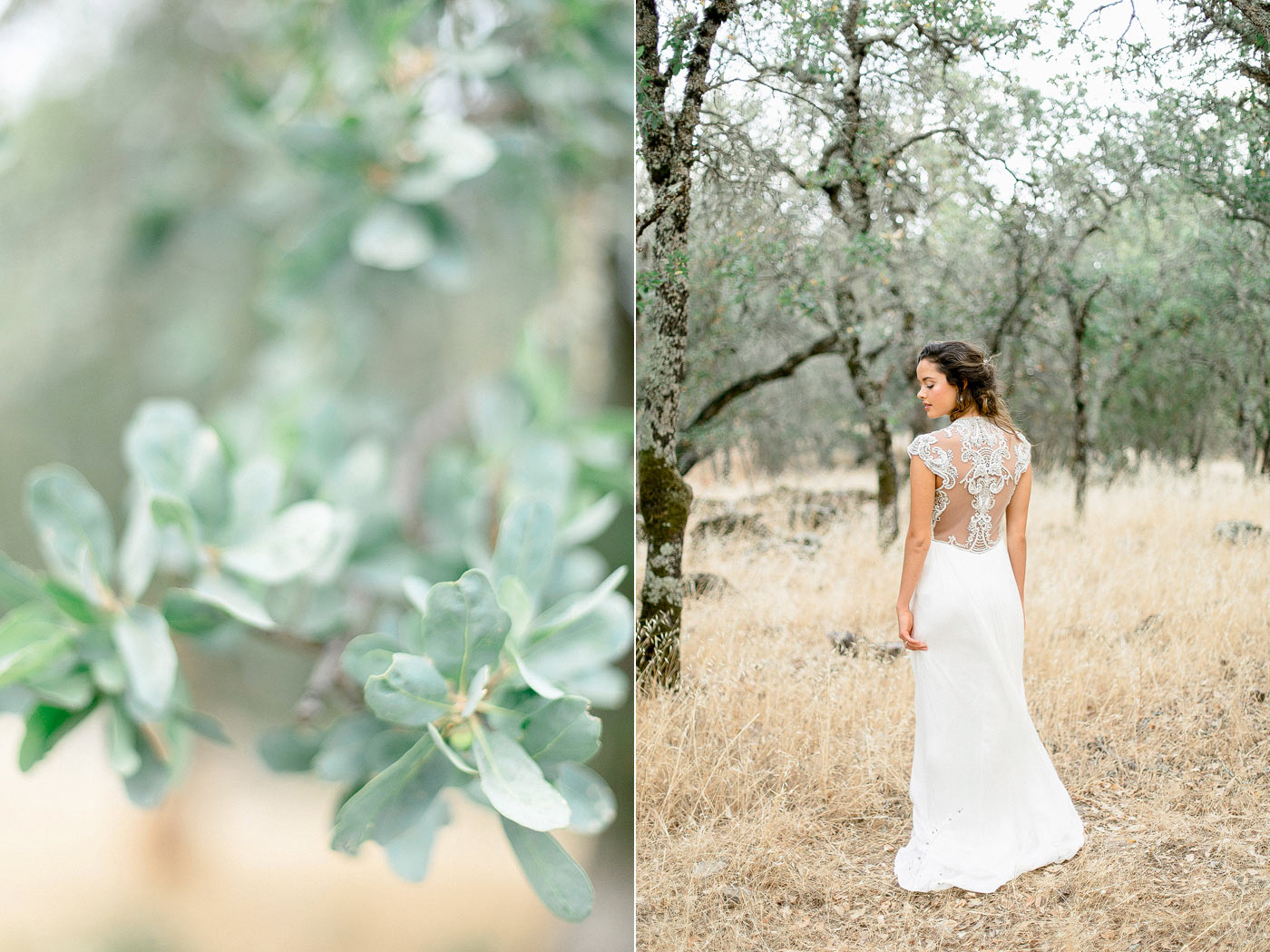 Wine country wedding photographer