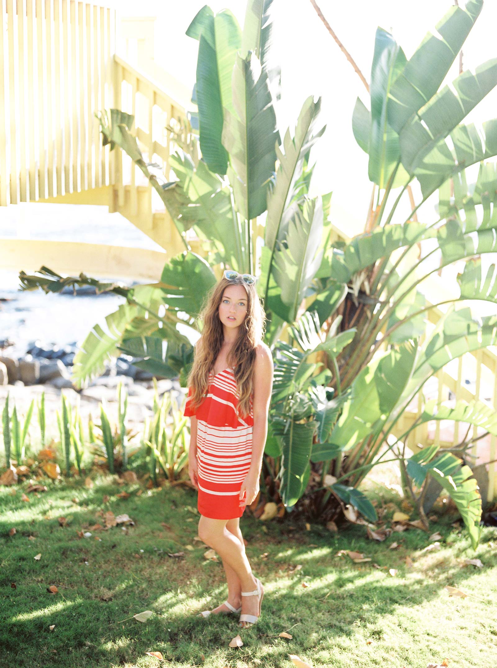 Kapalua Bay Beach Portrait Photos