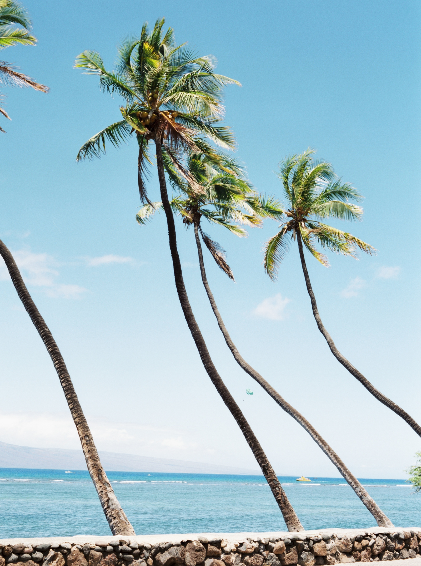Maui film photography