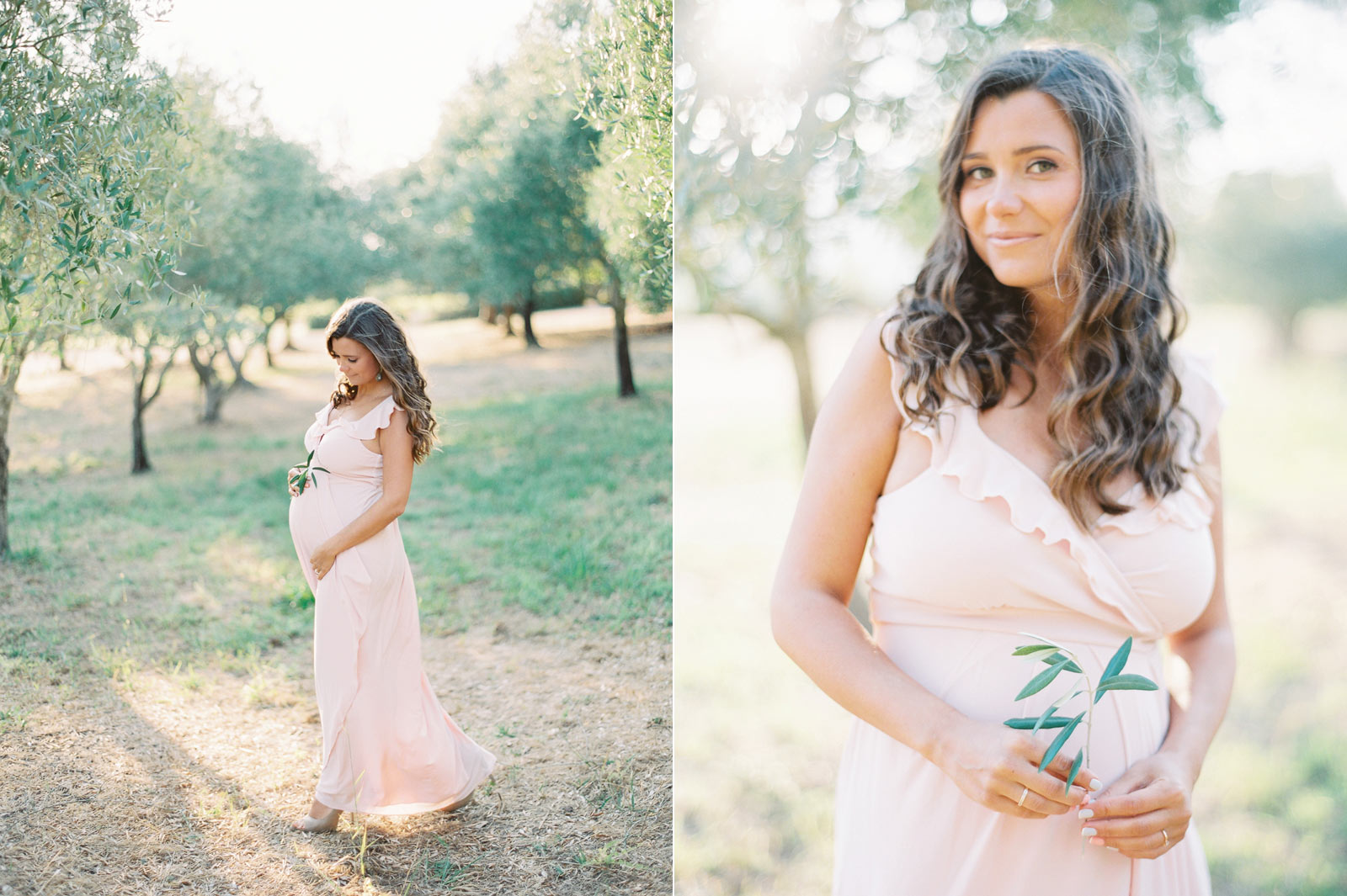 Sonoma maternity photos