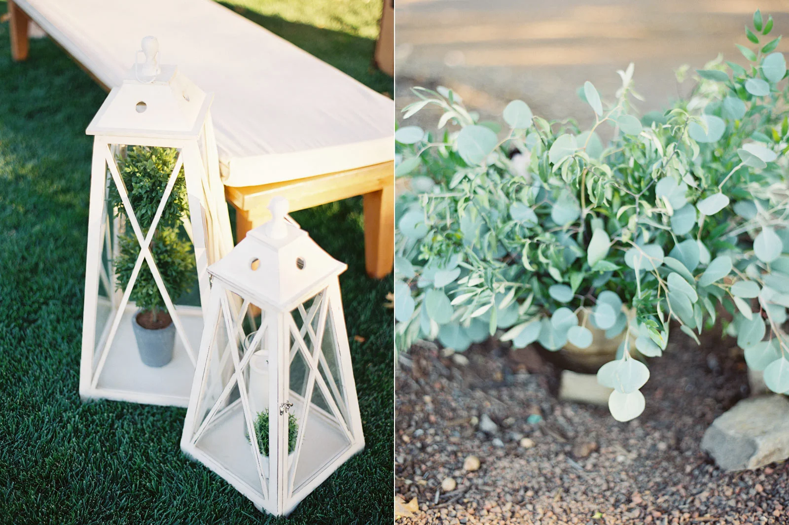 wedding photos at Kunde winery