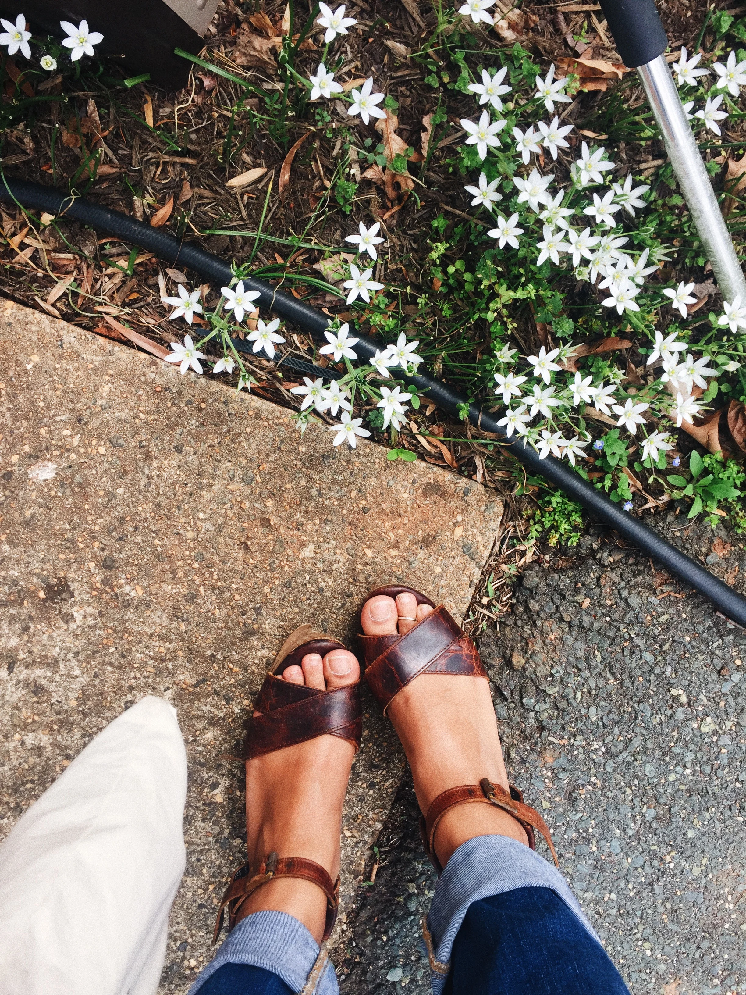 garden standing.jpg
