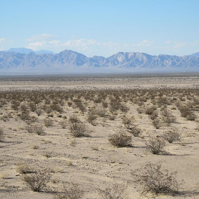 A reminder of what we're supporting, the creation of the Mother Road/Mojave Trails National Monument. A beautiful untouched landscape along Route 66. Thank you for the continued support. www.saveroute66.com #saveroute66 #mojavetrails #monumentsforall