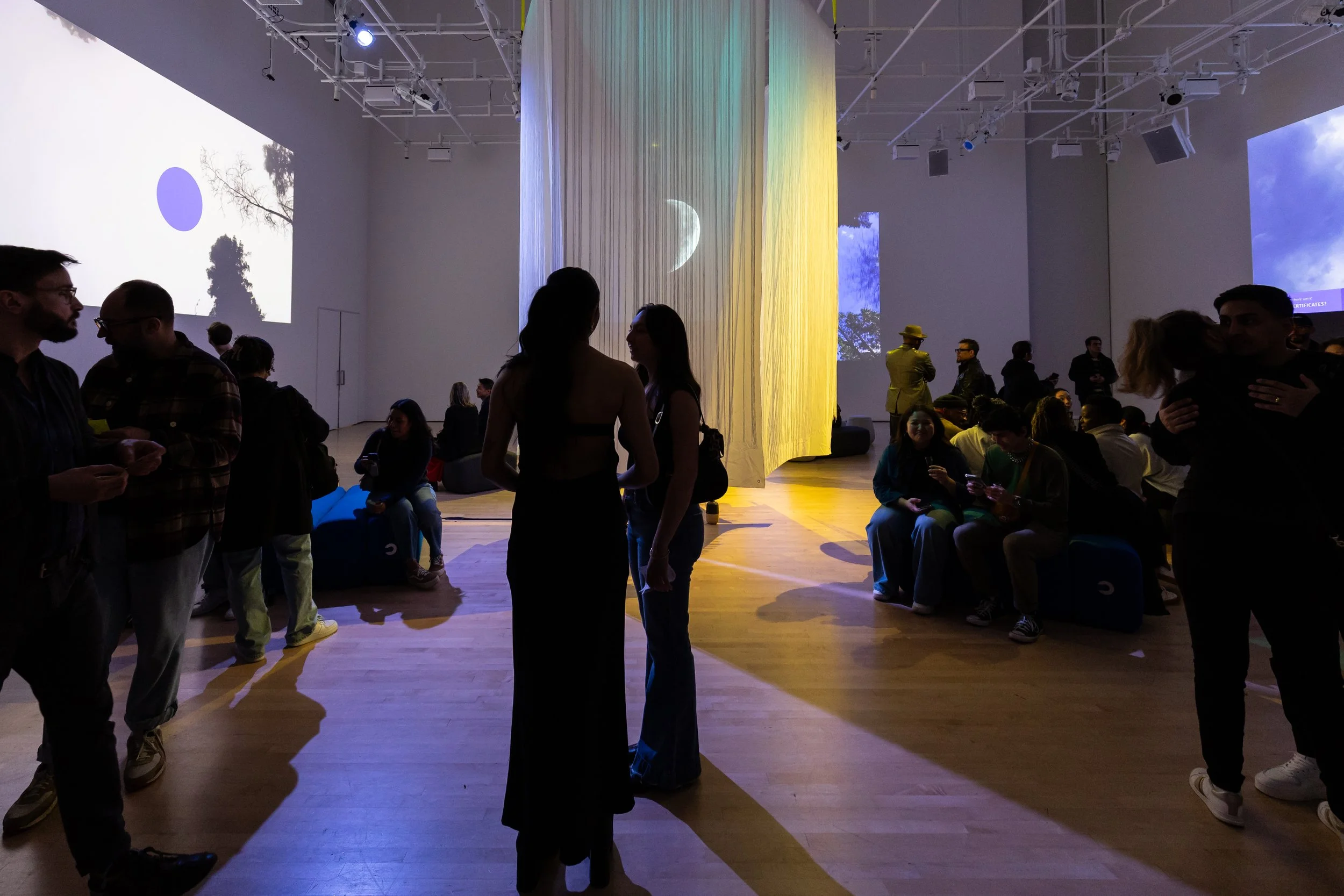 SFMOMA-Outlandish Departuewa-by Barak Shrama-44.JPG