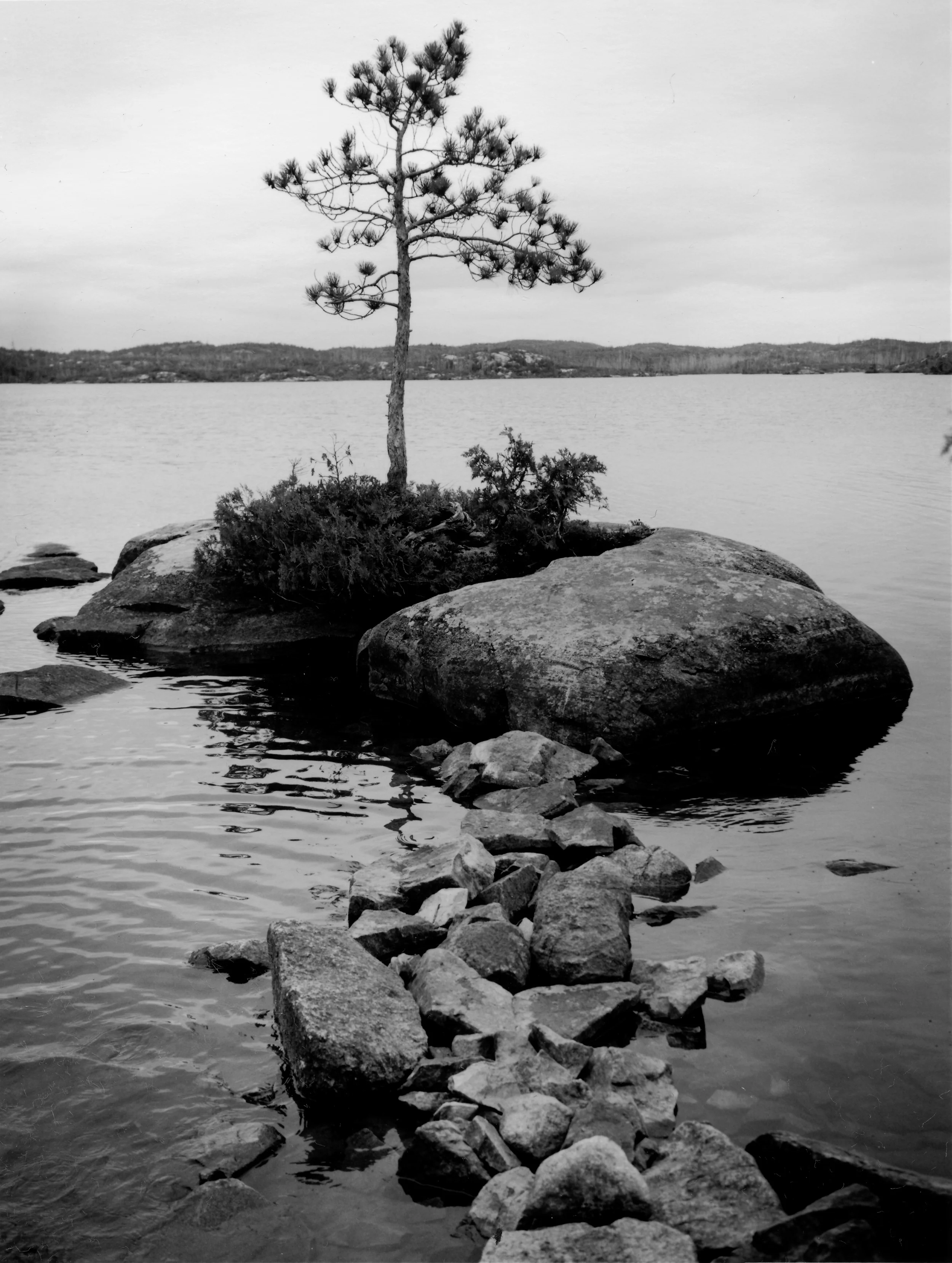 Photo by Paul Johnson