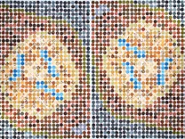 Mitosis! (2:23)