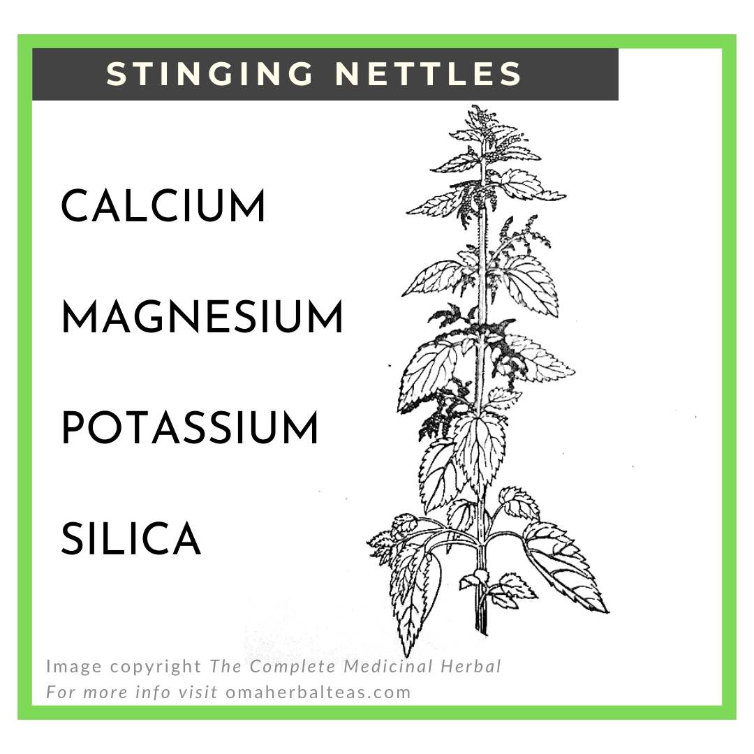 Stinging Nettles - minerals.png