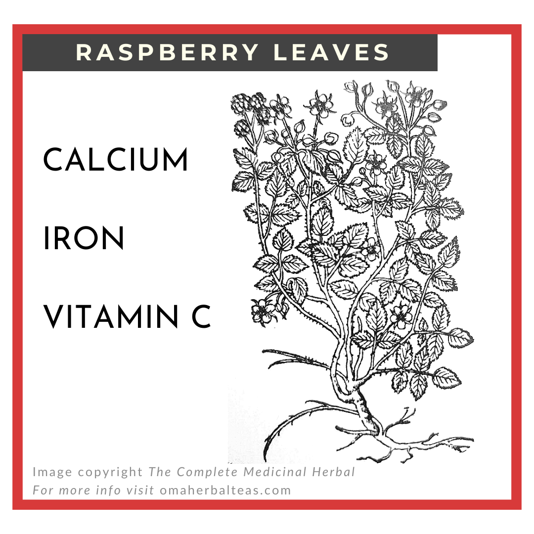 Raspberry Leaves.png
