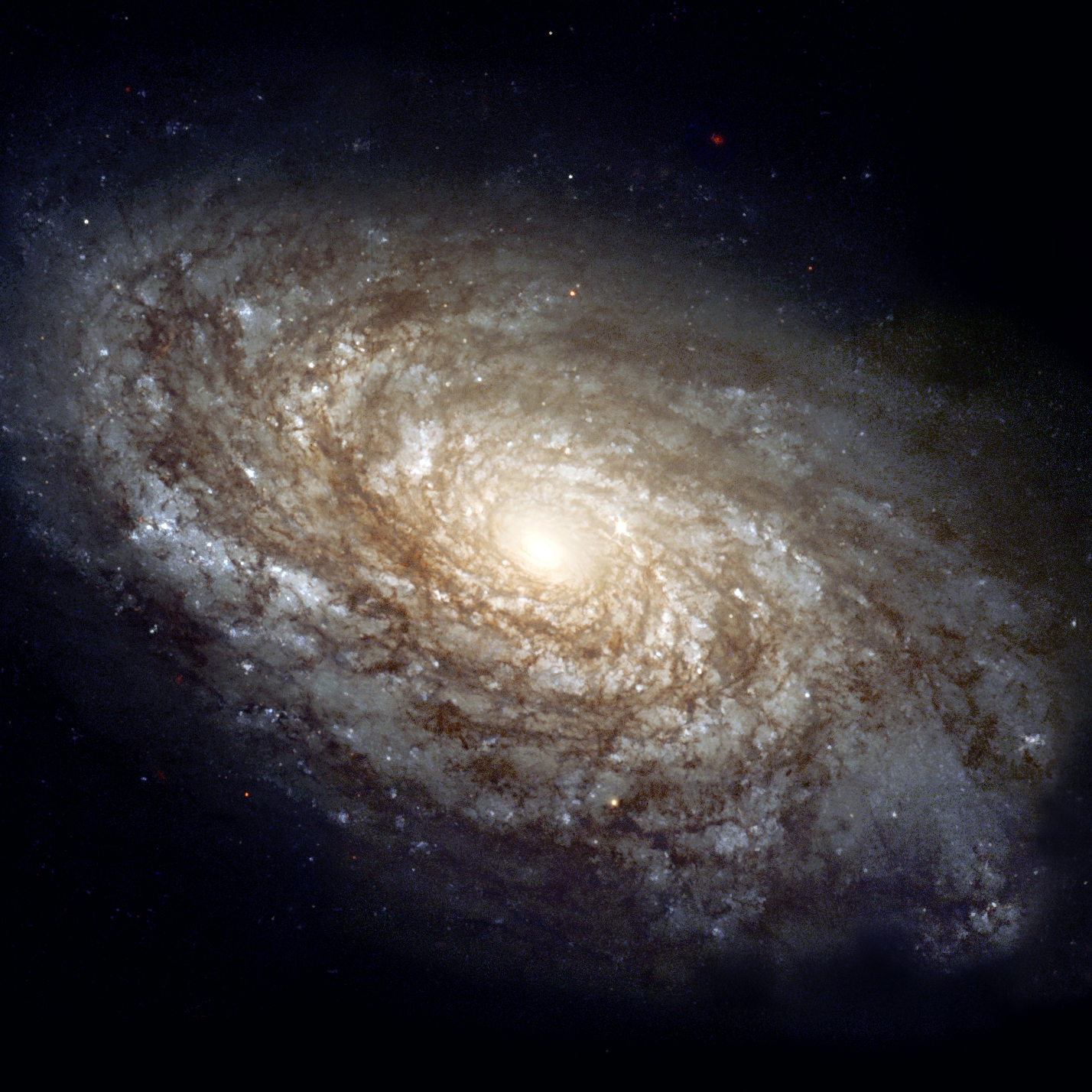 Episode 22: Merging galaxies with Dr. Privon