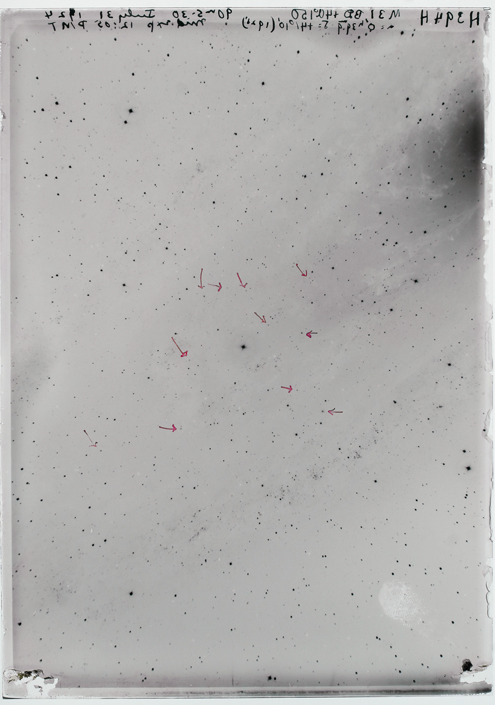 To read more about these plates, see this excellent article in Nautilus Magazine.
