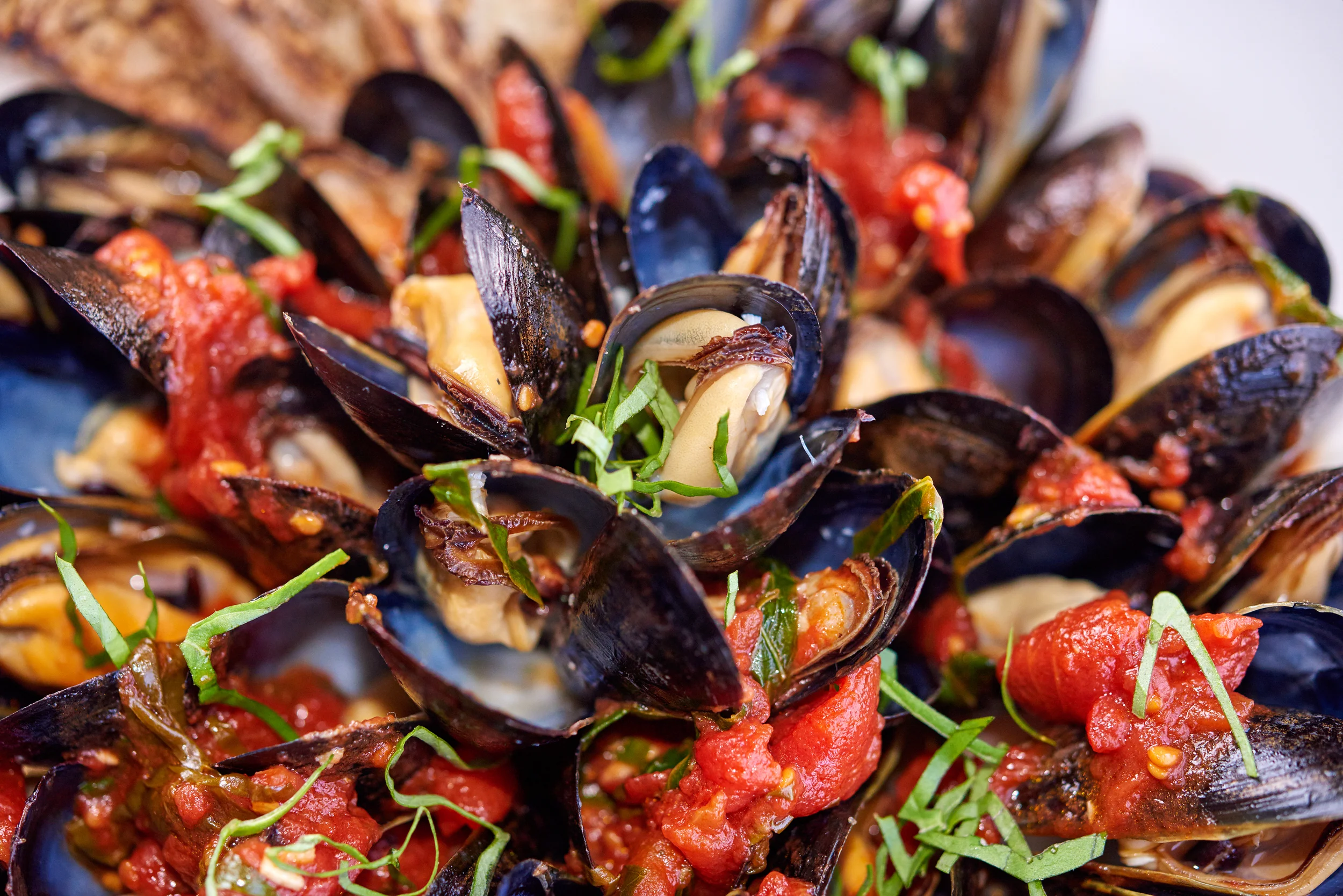 mussels.jpg