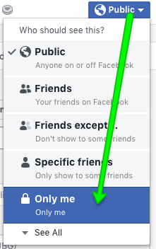 …and then you will see the option to post to Only me.