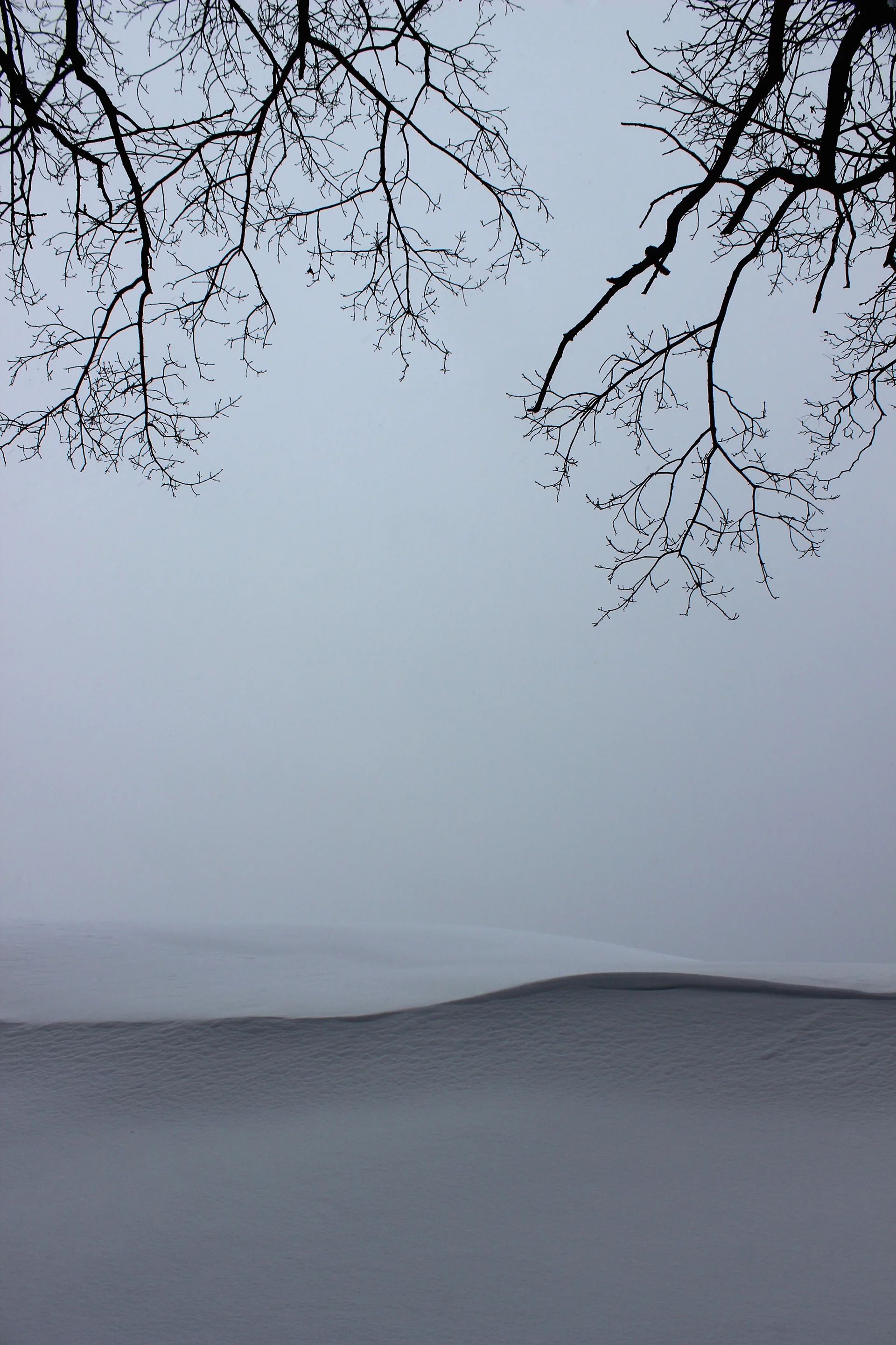 IMG_9050 copy.JPG