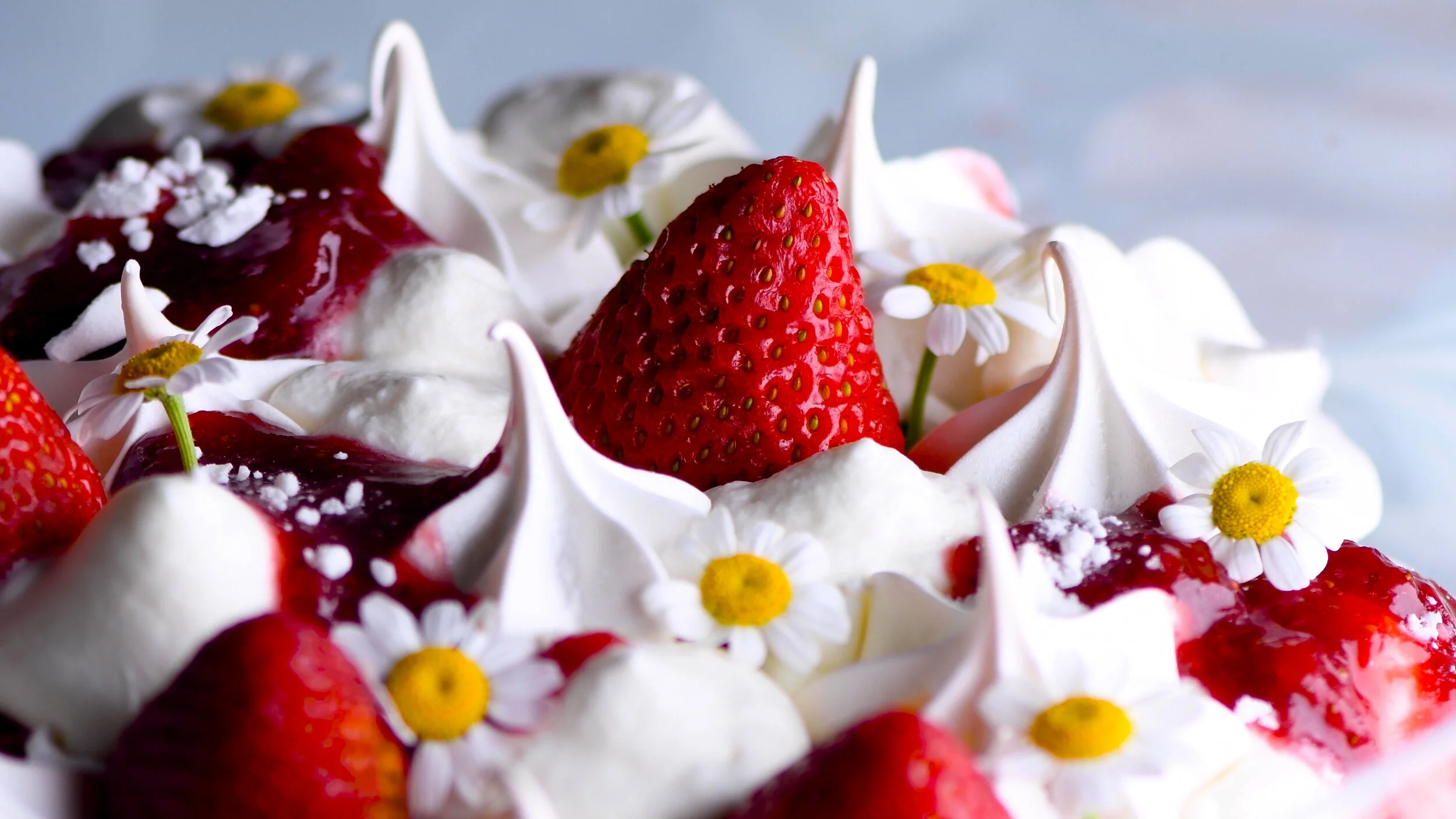 top of mess side 16 by 9.JPG