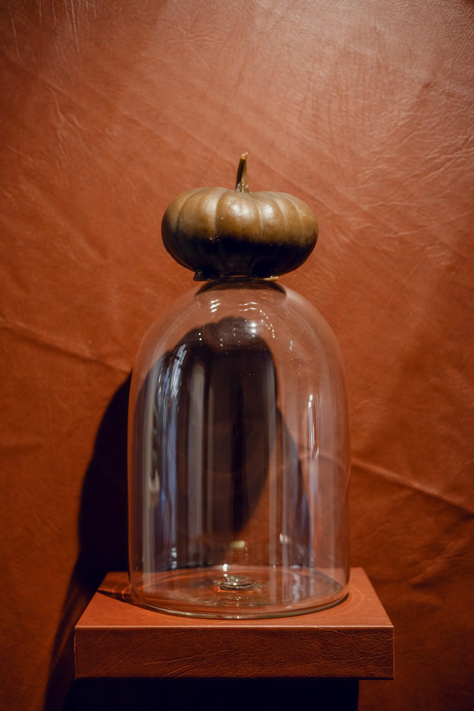 end to end (brown leatherette composition)