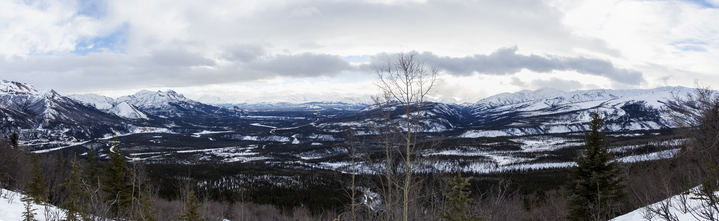 taiga trail panoramic.jpg