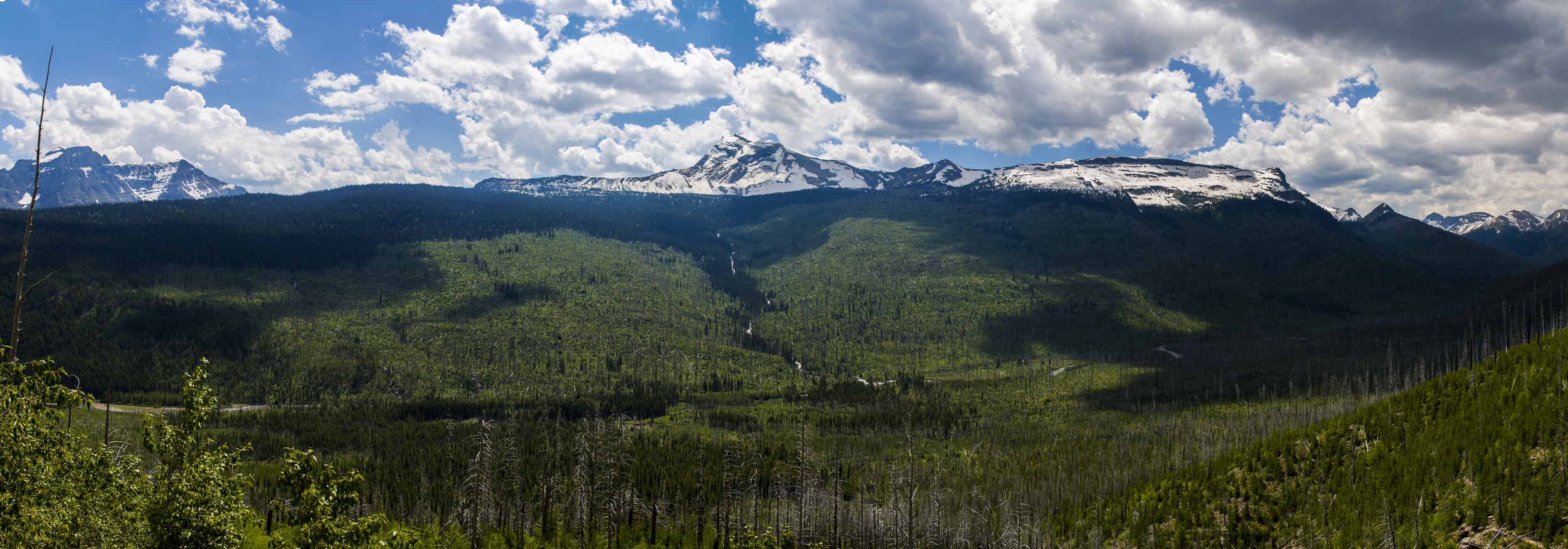 montana_Panorama1.jpg