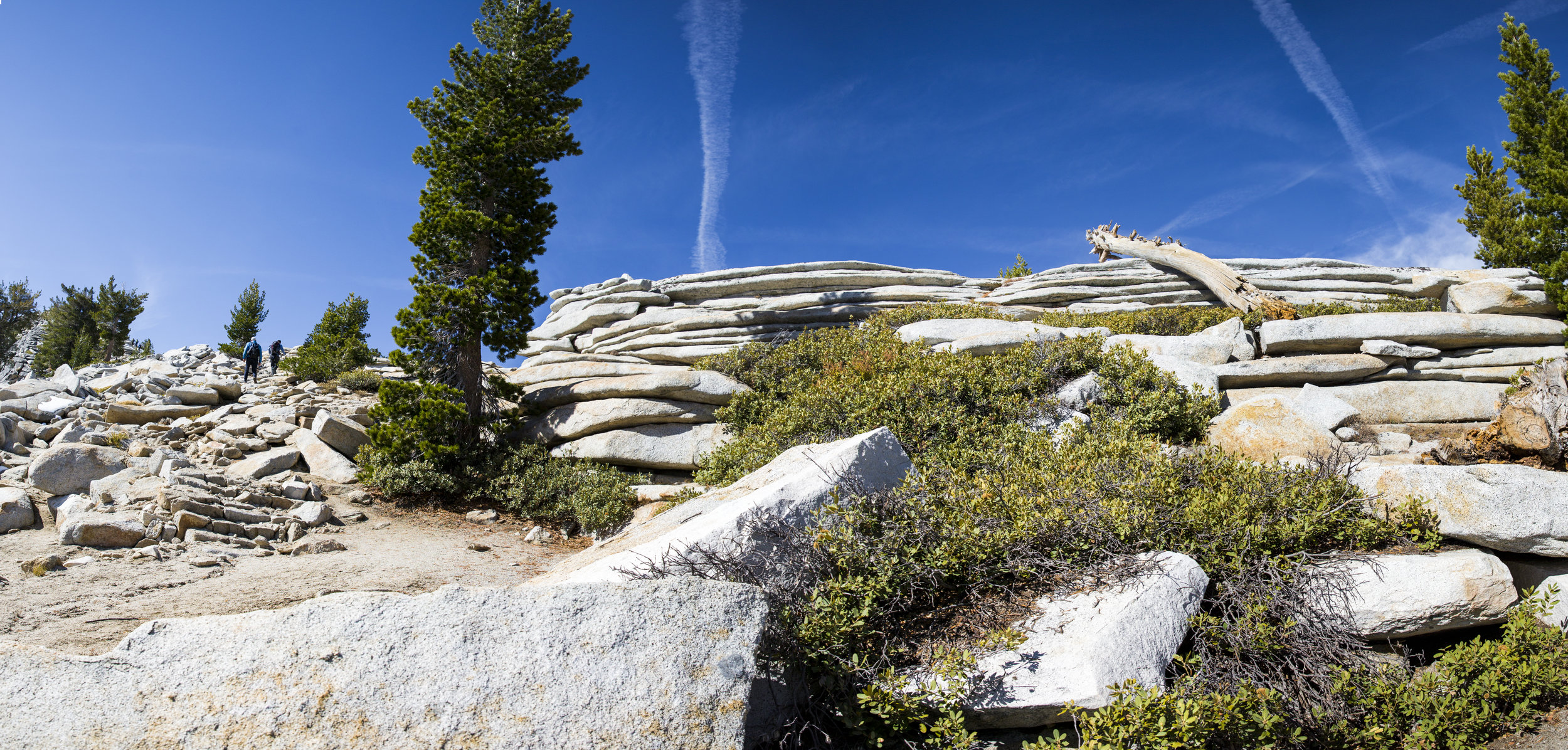 nearthetopofcloudsrest_Panorama1.jpg